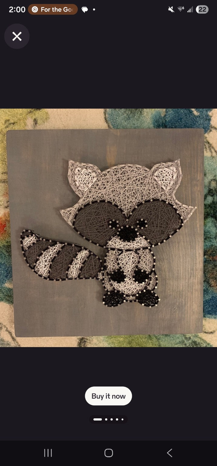 Raccoon String Art Workshop design